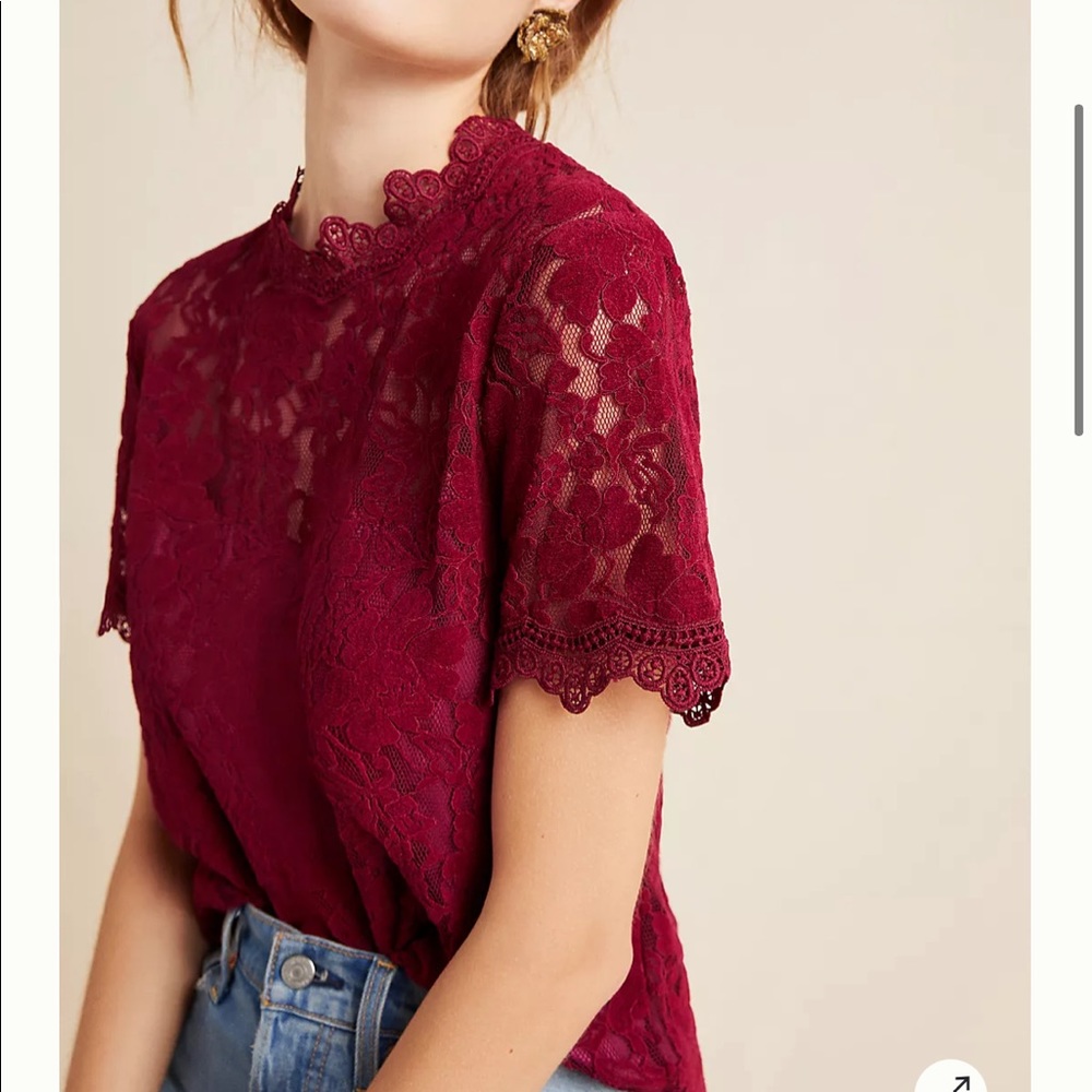 Anthropologie | Teresa Mock Neck Lace Top